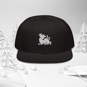 snapback black front 2 683017a997315.jpg